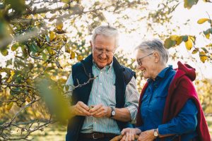 Coaldale Walnuts